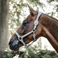 Kentucky Anatomic Suede Halter - Løwenborg - Kentucky Horsewear