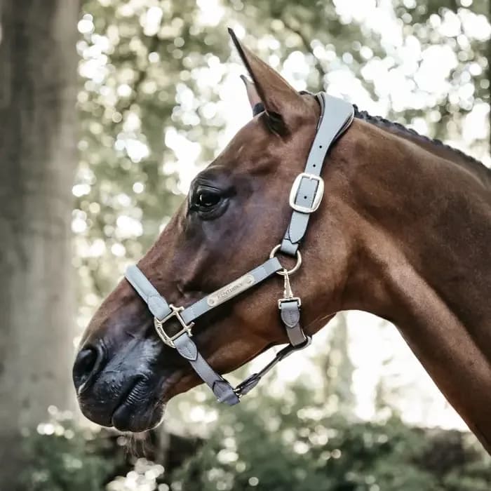 Kentucky Anatomic Suede Halter - Løwenborg - Kentucky Horsewear