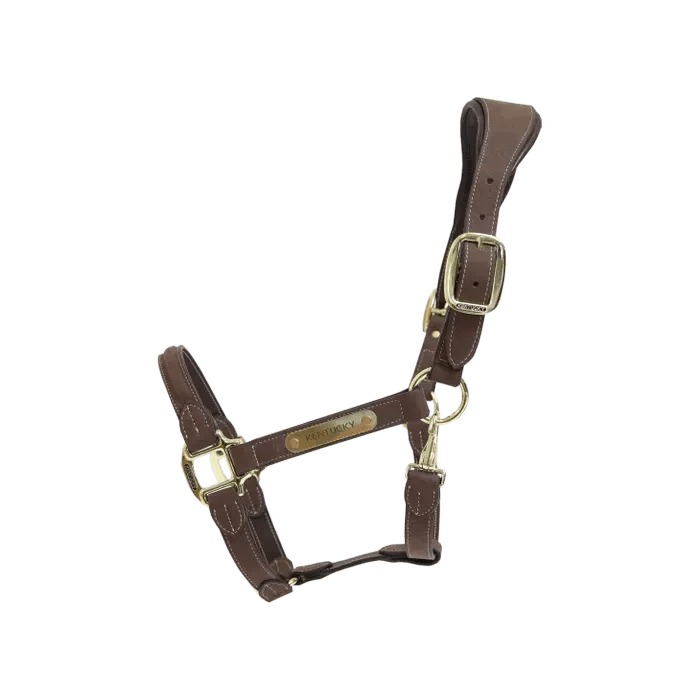 Kentucky Anatomic Suede Halter - Løwenborg - Kentucky Horsewear