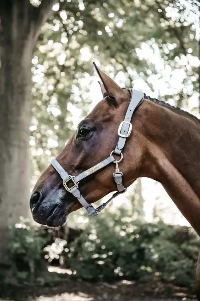 Kentucky Anatomic Suede Halter - Løwenborg - Kentucky Horsewear