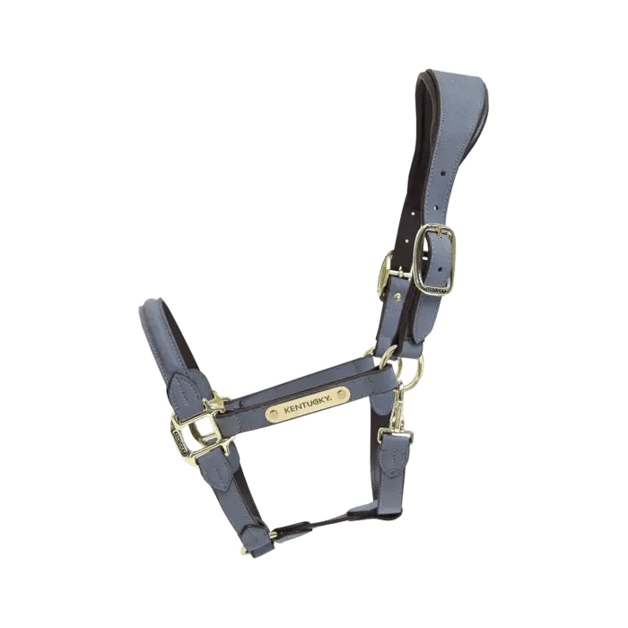 Kentucky Anatomic Suede Halter - Løwenborg - Kentucky Horsewear