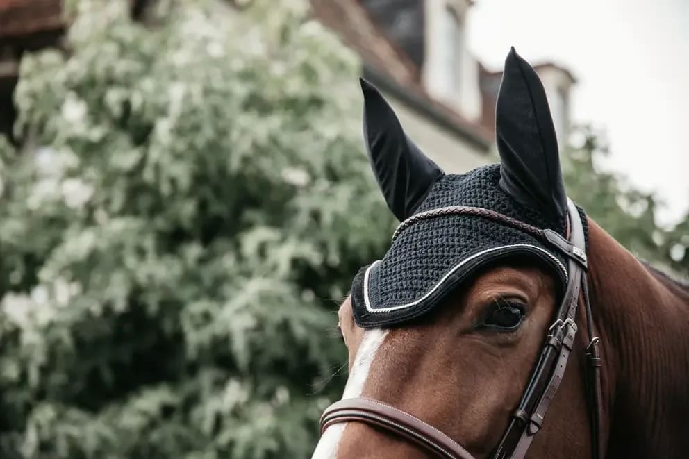 Kentucky Fly veil Wellington Corduroy - Løwenborg - Kentucky Horsewear