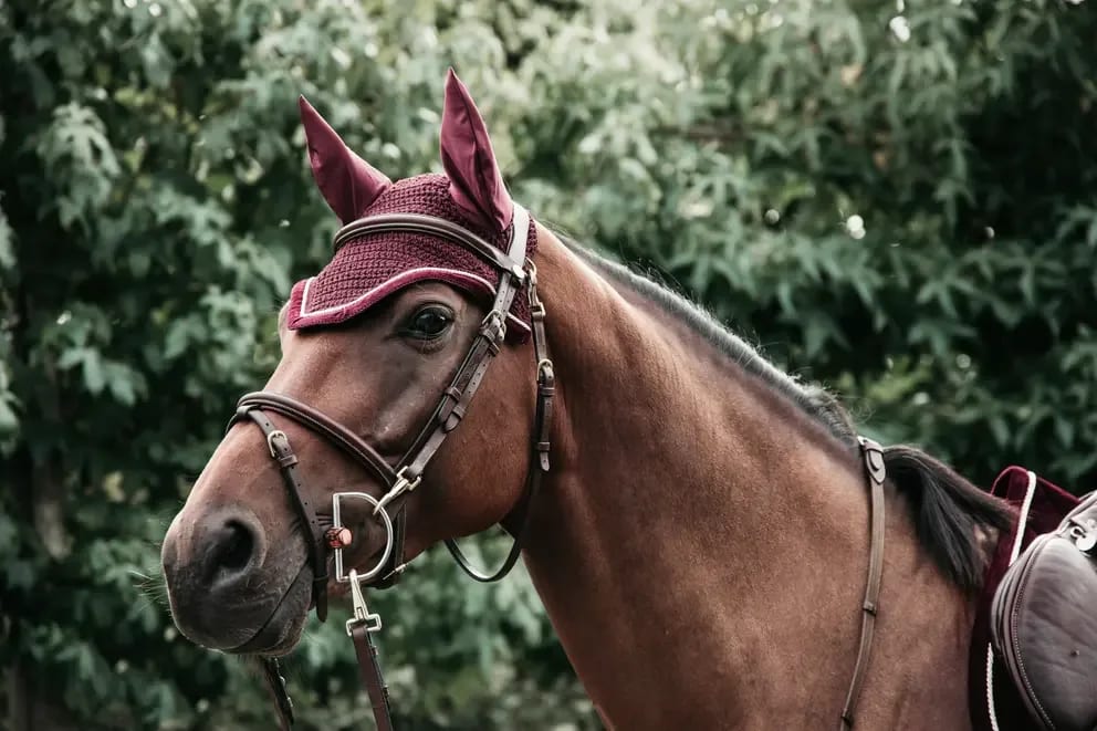 Kentucky Fly veil Wellington Corduroy - Løwenborg - Kentucky Horsewear