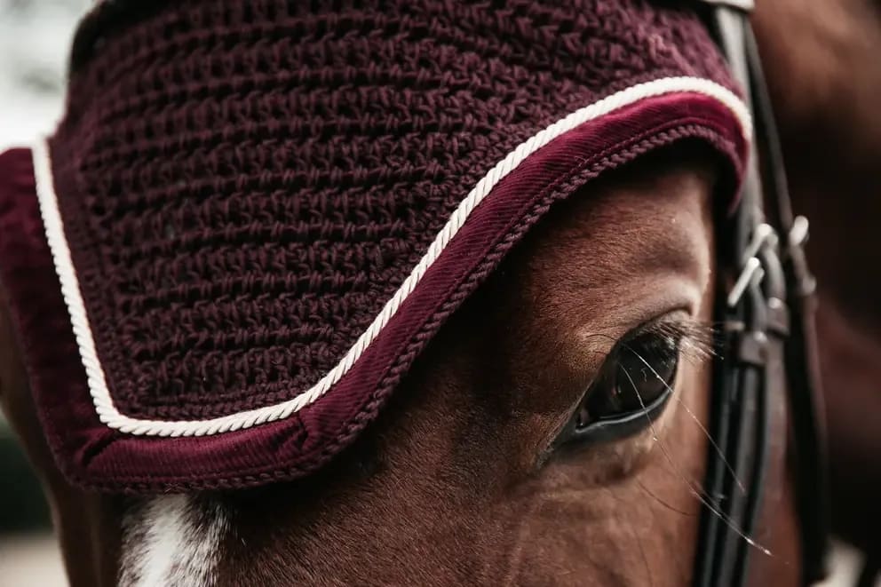Kentucky Fly veil Wellington Corduroy - Løwenborg - Kentucky Horsewear