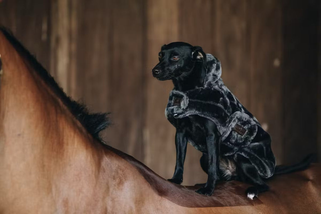 Kentucky Dog Coat Vegan Fur - Løwenborg - Kentucky Dogwear
