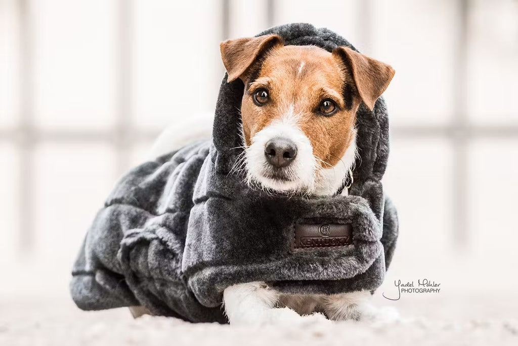 Kentucky Dog Coat Vegan Fur - Løwenborg - Kentucky Dogwear