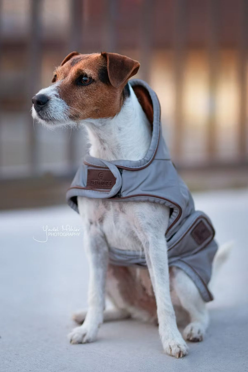 Kentucky Dog Coat Reflective Water Repellent - Løwenborg - Kentucky Dogwear