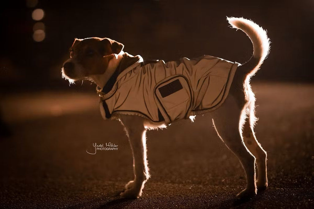 Kentucky Dog Coat Reflective Water Repellent - Løwenborg - Kentucky Dogwear