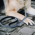 Kentucky Dog Lead Loop - Løwenborg - Kentucky Dogwear