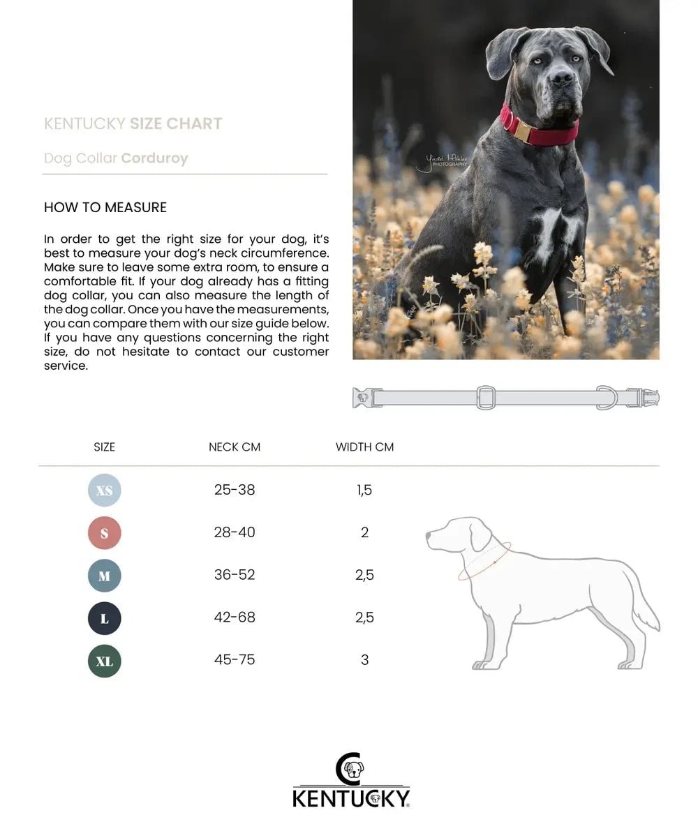 Kentucky Dog Collar Corduroy - Løwenborg - Kentucky Dogwear