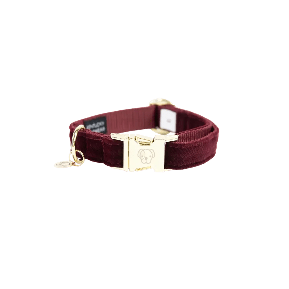Kentucky Dog Collar Corduroy - Løwenborg - Kentucky Dogwear