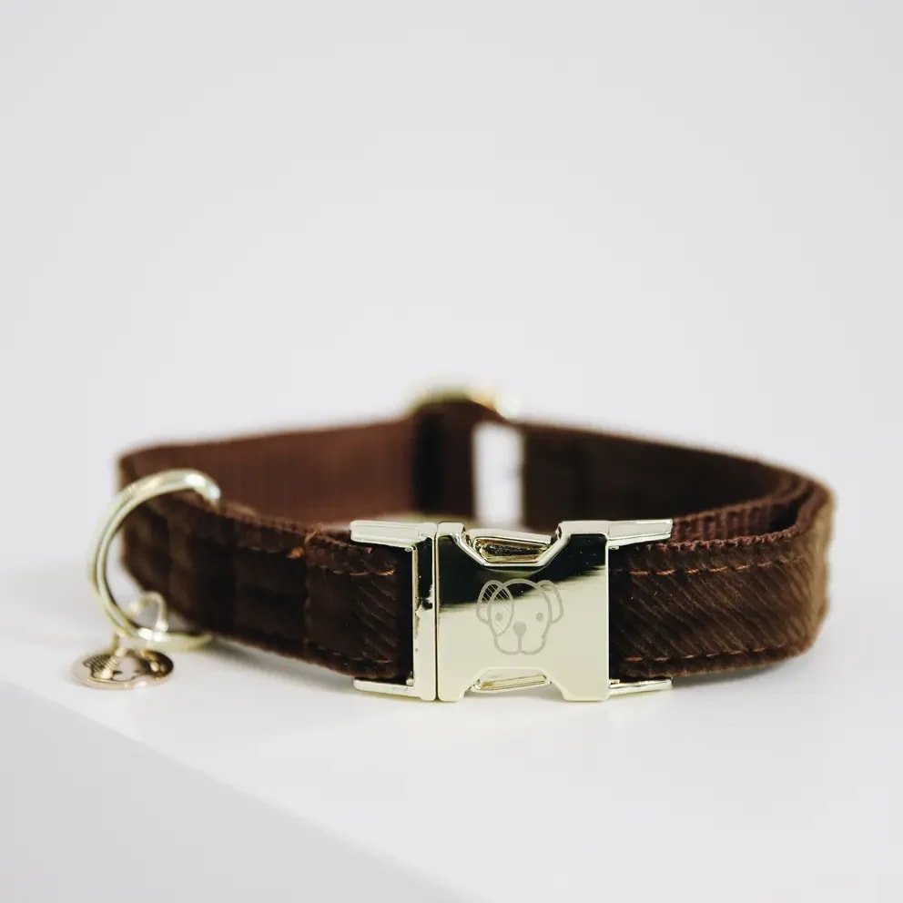 Kentucky Dog Collar Corduroy - Løwenborg - Kentucky Dogwear