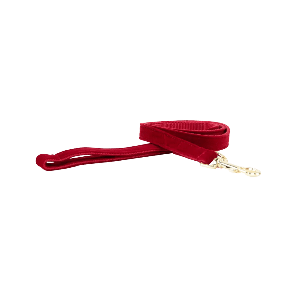 Kentucky Dog Lead Corduroy - Løwenborg - Kentucky Dogwear