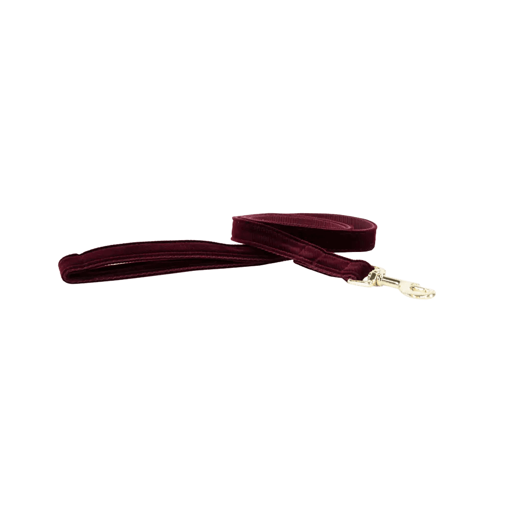 Kentucky Dog Lead Corduroy - Løwenborg - Kentucky Dogwear