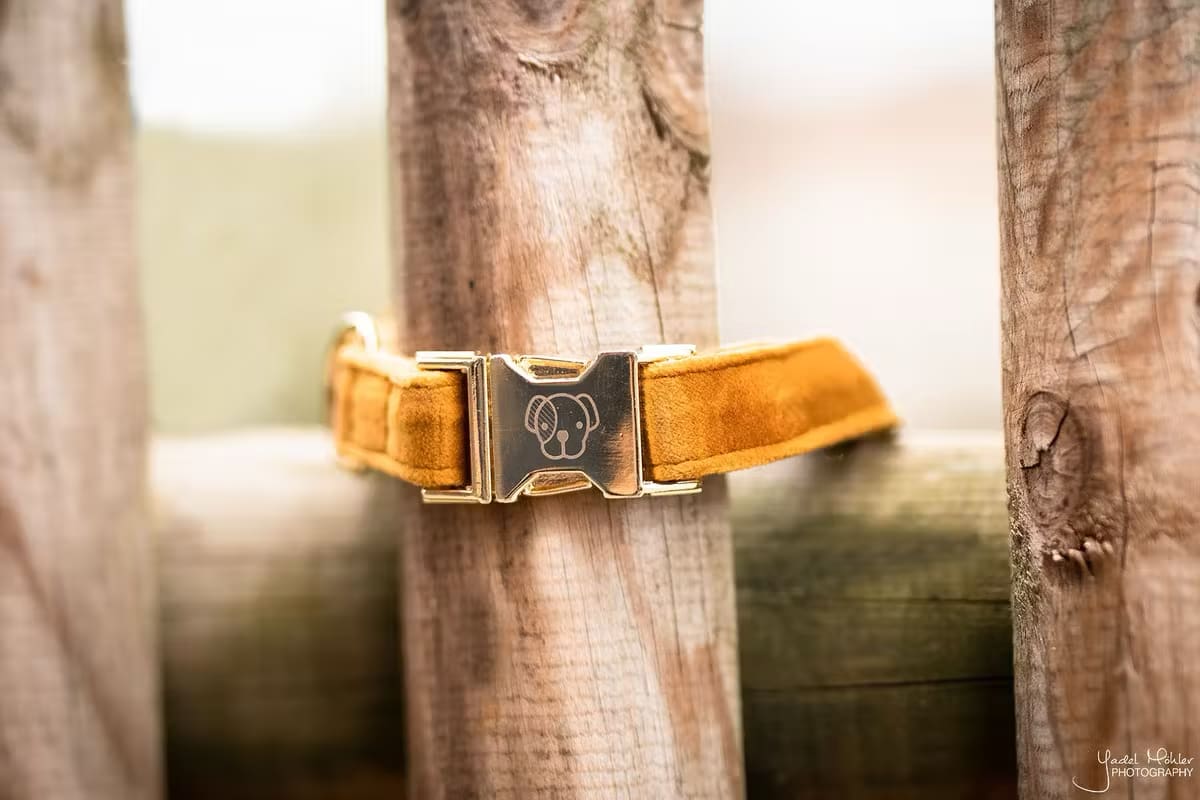 Kentucky Dog Collar Velvet - Løwenborg - Kentucky Dogwear
