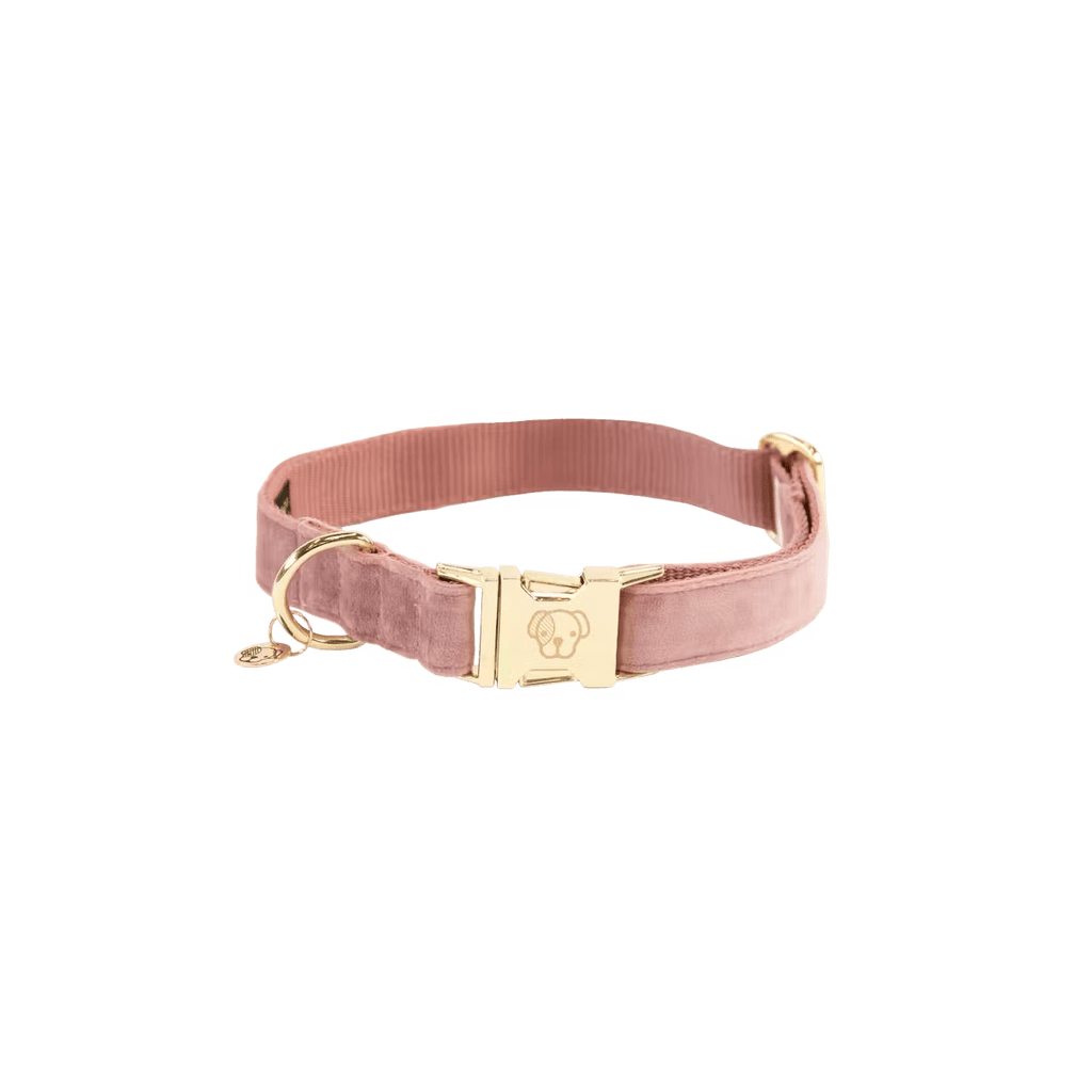 Kentucky Dog Collar Velvet - Løwenborg - Kentucky Dogwear