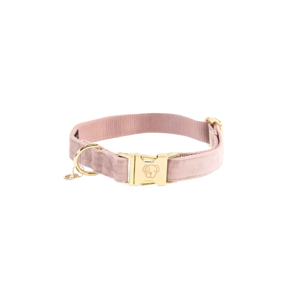 Kentucky Dog Collar Velvet