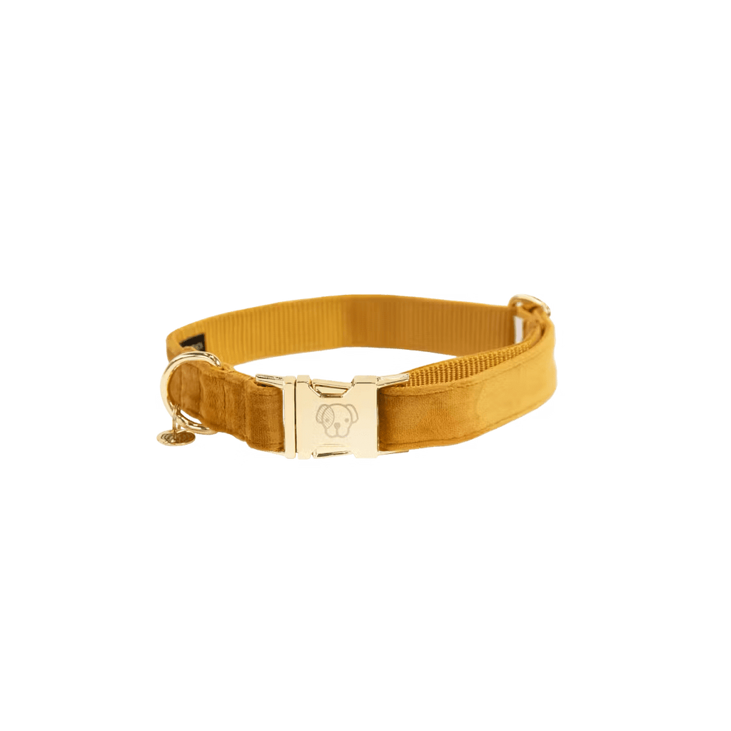 Kentucky Dog Collar Velvet - Løwenborg - Kentucky Dogwear