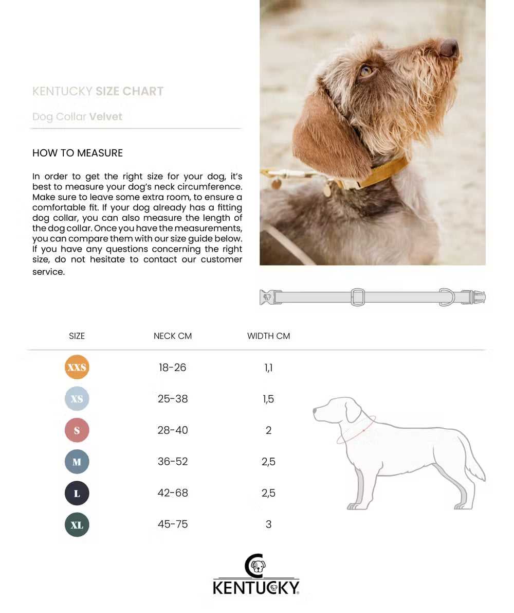 Kentucky Dog Collar Velvet