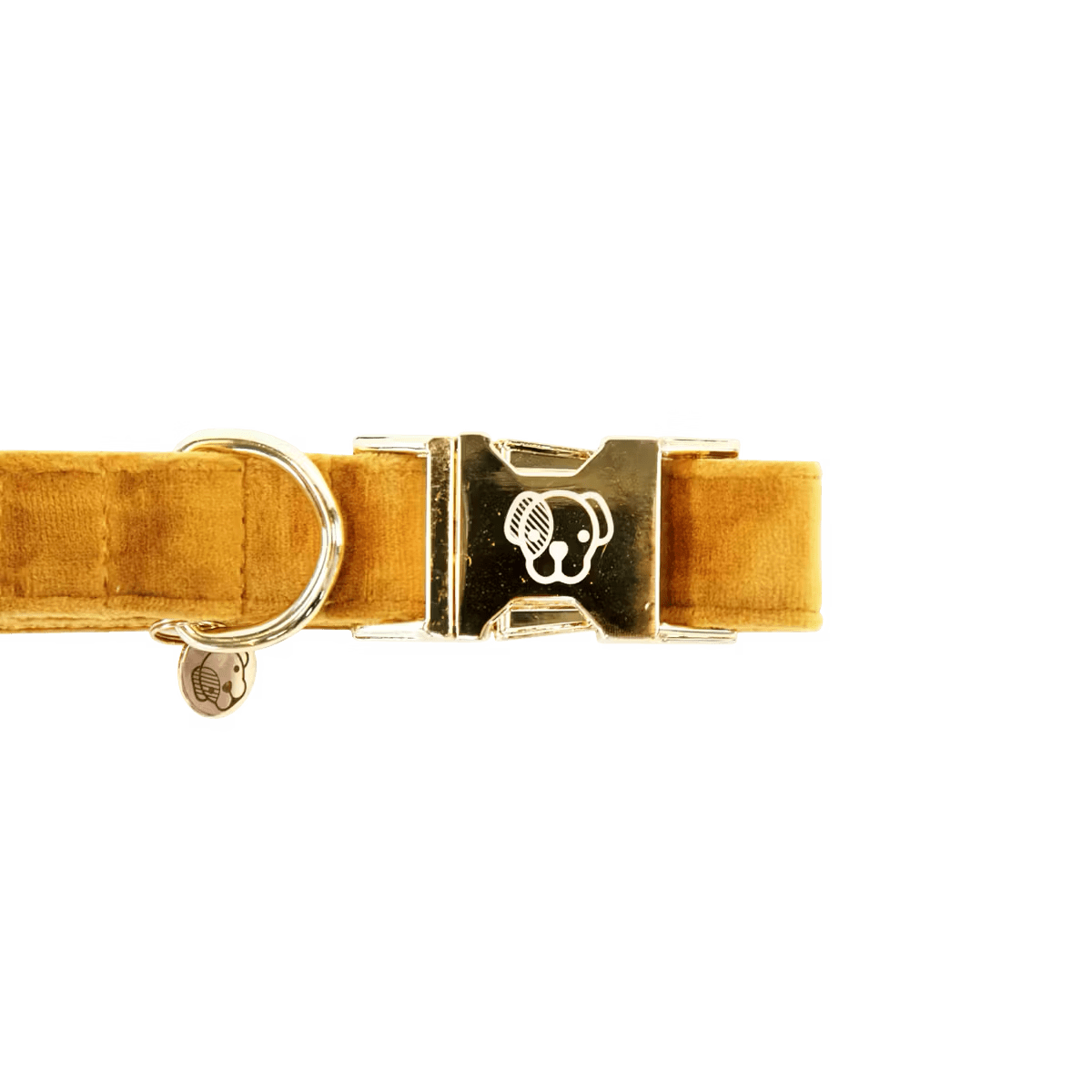 Kentucky Dog Collar Velvet