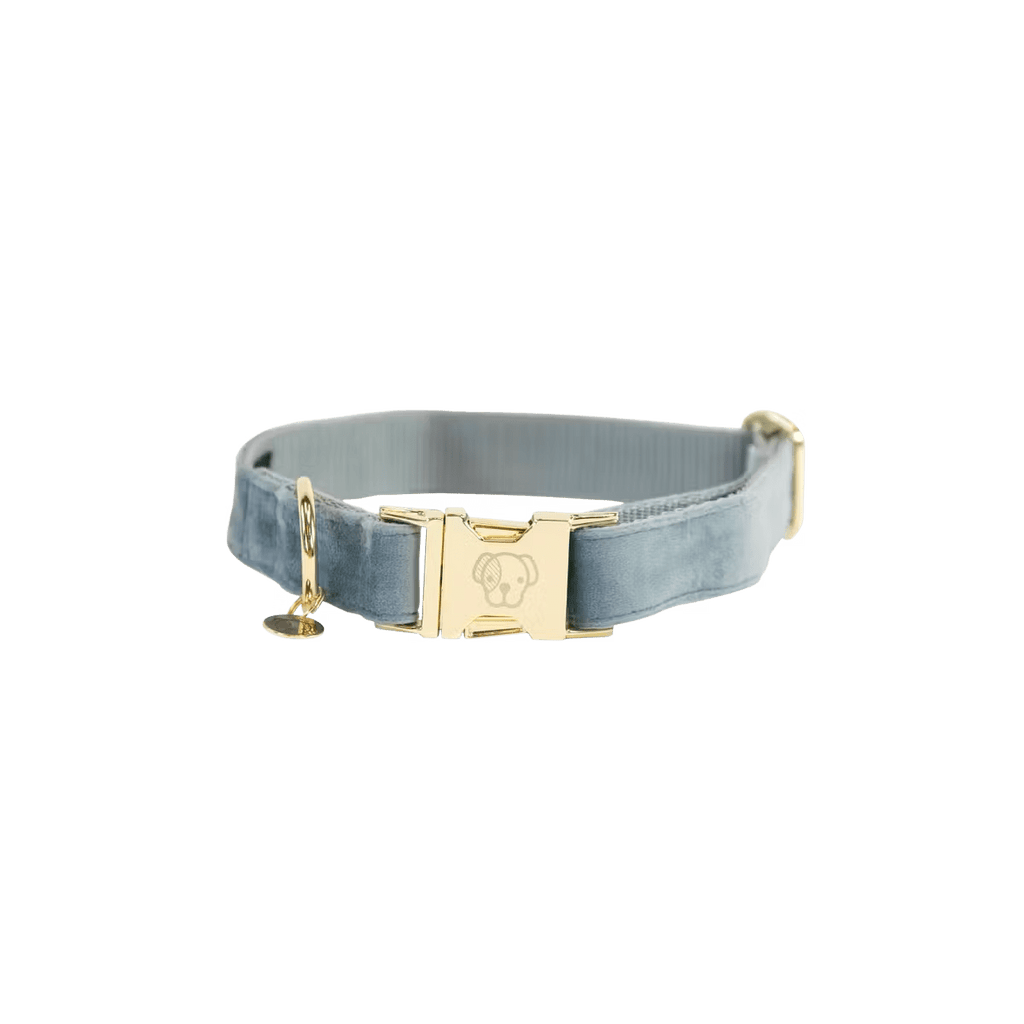 Kentucky Dog Collar Velvet - Løwenborg - Kentucky Dogwear