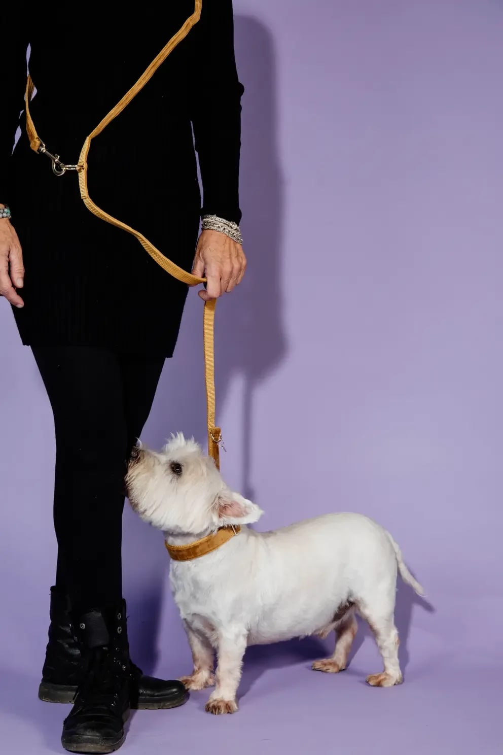 Kentucky Dog Lead Velvet - Løwenborg - Kentucky Dogwear