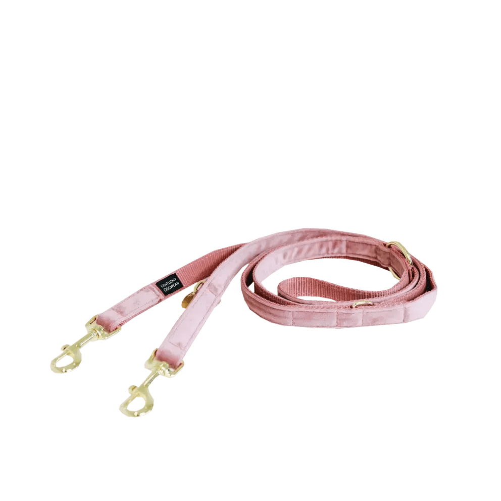 Kentucky Dog Lead Velvet - Løwenborg - Kentucky Dogwear