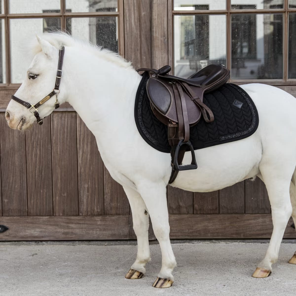 Kentucky Saddle Pad Glitter Stone Jumping - Løwenborg - Kentucky Horsewear