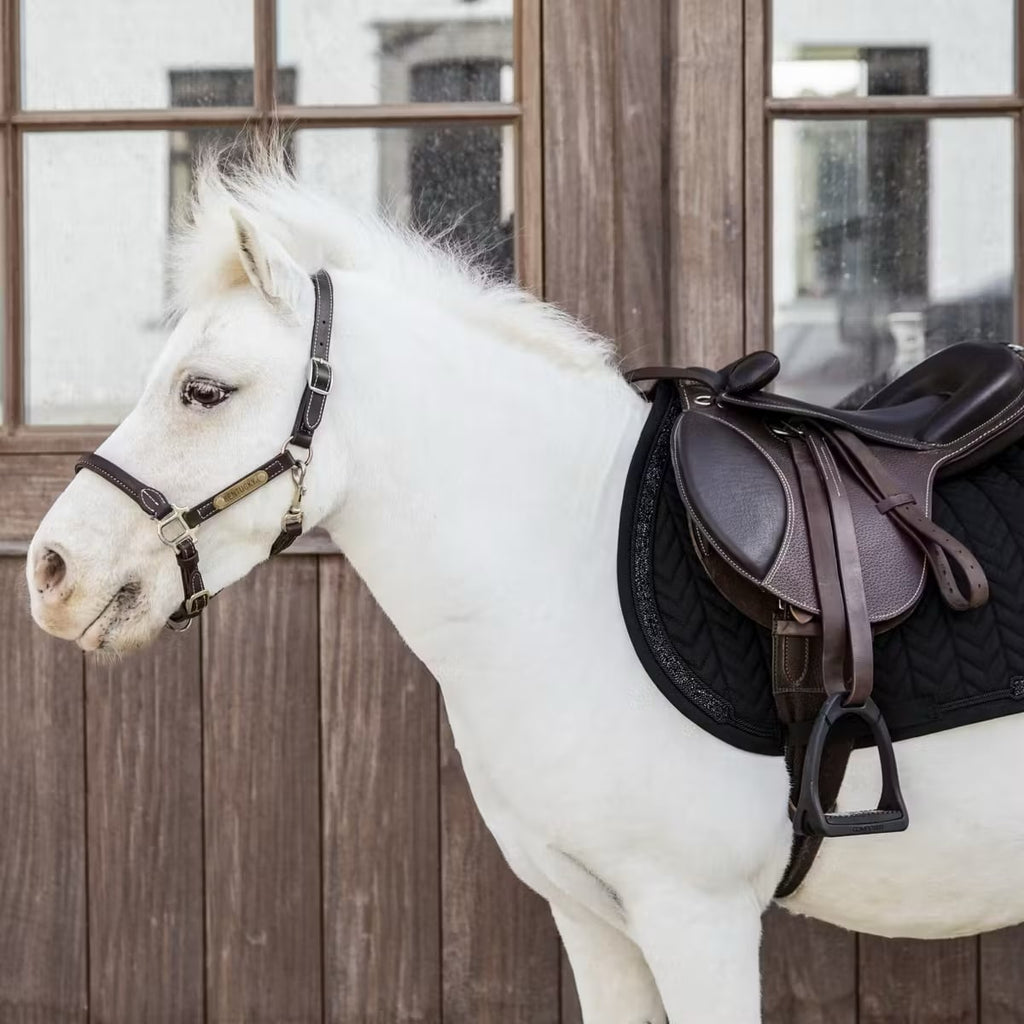 Kentucky Saddle Pad Glitter Stone Jumping - Løwenborg - Kentucky Horsewear