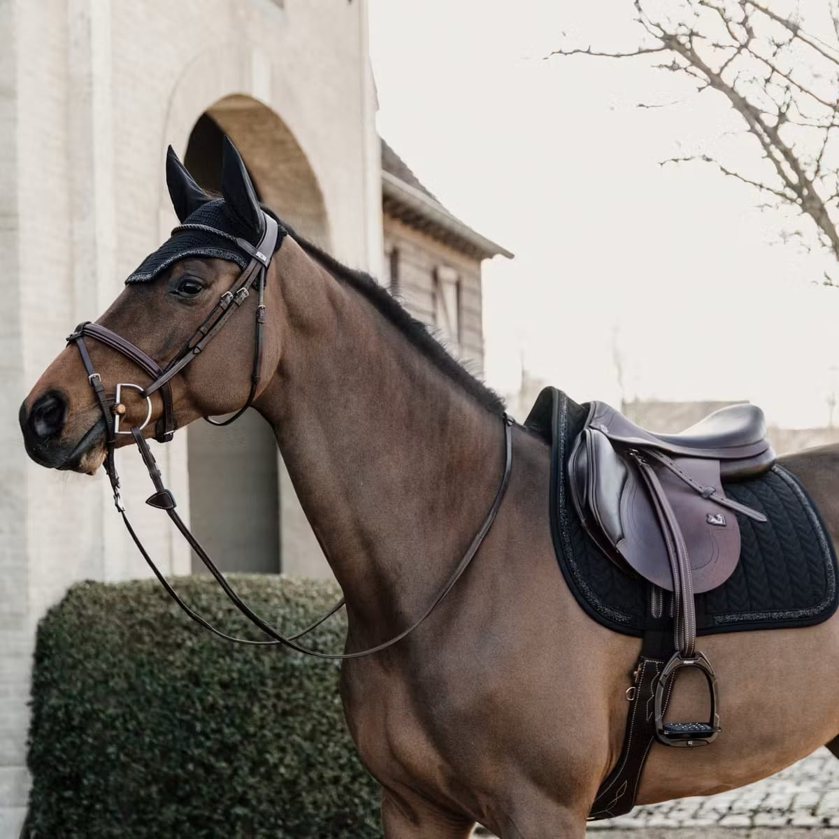 Kentucky Saddle Pad Glitter Stone Jumping - Løwenborg - Kentucky Horsewear