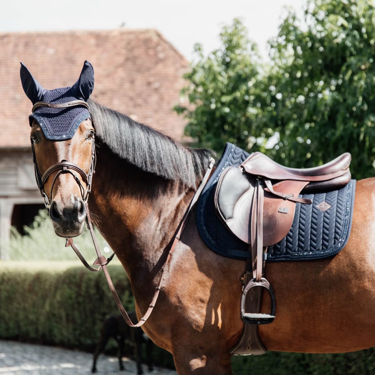 Kentucky Saddle Pad Glitter Stone Jumping - Løwenborg - Kentucky Horsewear