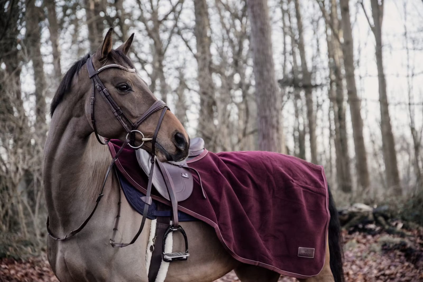 Kentucky Riding Rug Heavy Fleece - Løwenborg - Kentucky Horsewear