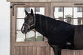 Kentucky Heavy Fleece Horse Scarf - Løwenborg - Kentucky Horsewear