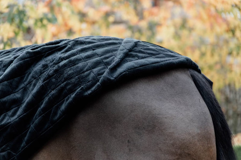 Kentucky Stable Rug - Løwenborg - Kentucky Horsewear