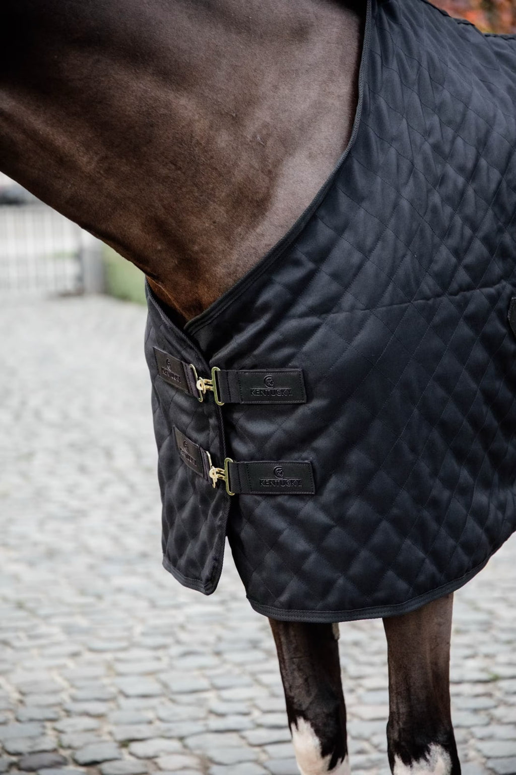 Kentucky Stable Rug - Løwenborg - Kentucky Horsewear