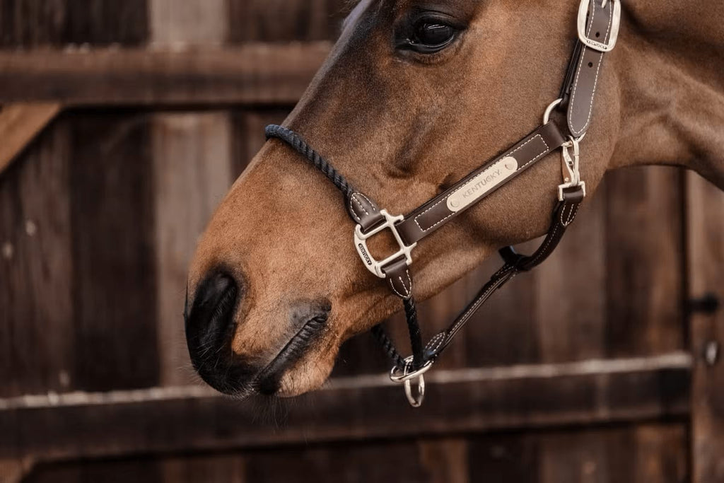 Kentucky Leather Rope Halter - Løwenborg - Kentucky Horsewear