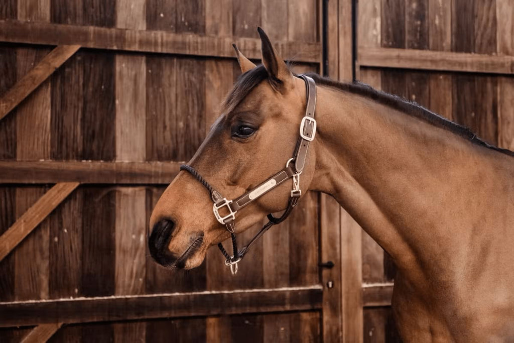 Kentucky Leather Rope Halter - Løwenborg - Kentucky Horsewear