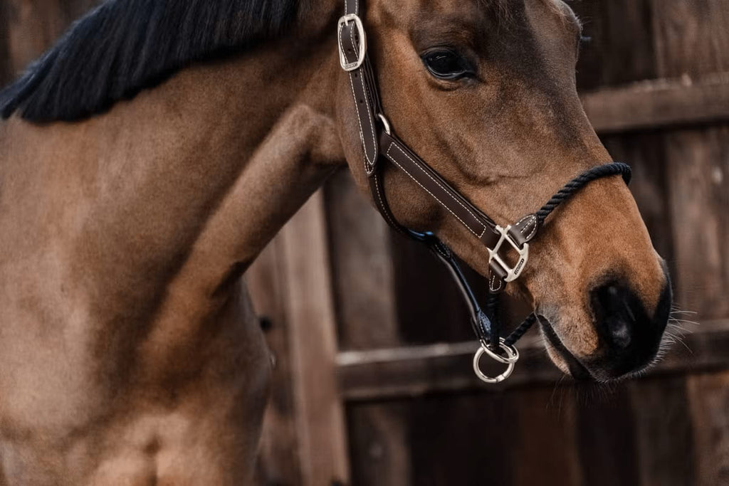 Kentucky Leather Rope Halter - Løwenborg - Kentucky Horsewear