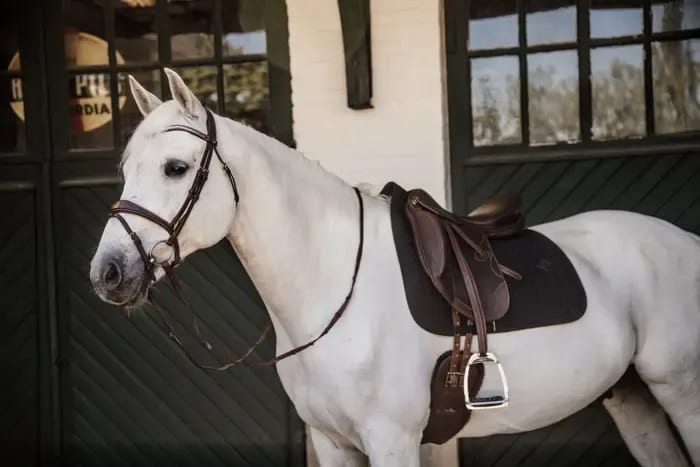 Kentucky Saddle Pad Fishbone Dressage - Løwenborg - Kentucky Horsewear