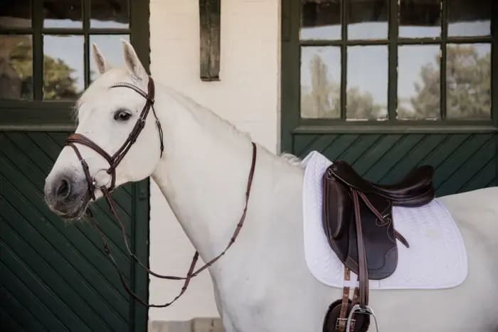 Kentucky Saddle Pad Fishbone Dressage - Løwenborg - Kentucky Horsewear