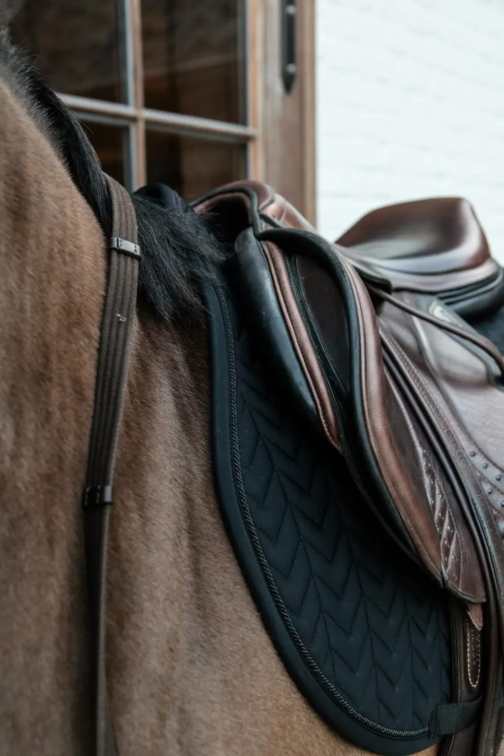 Kentucky Saddle Pad Fishbone Competiton Jumping - Løwenborg - Kentucky Horsewear
