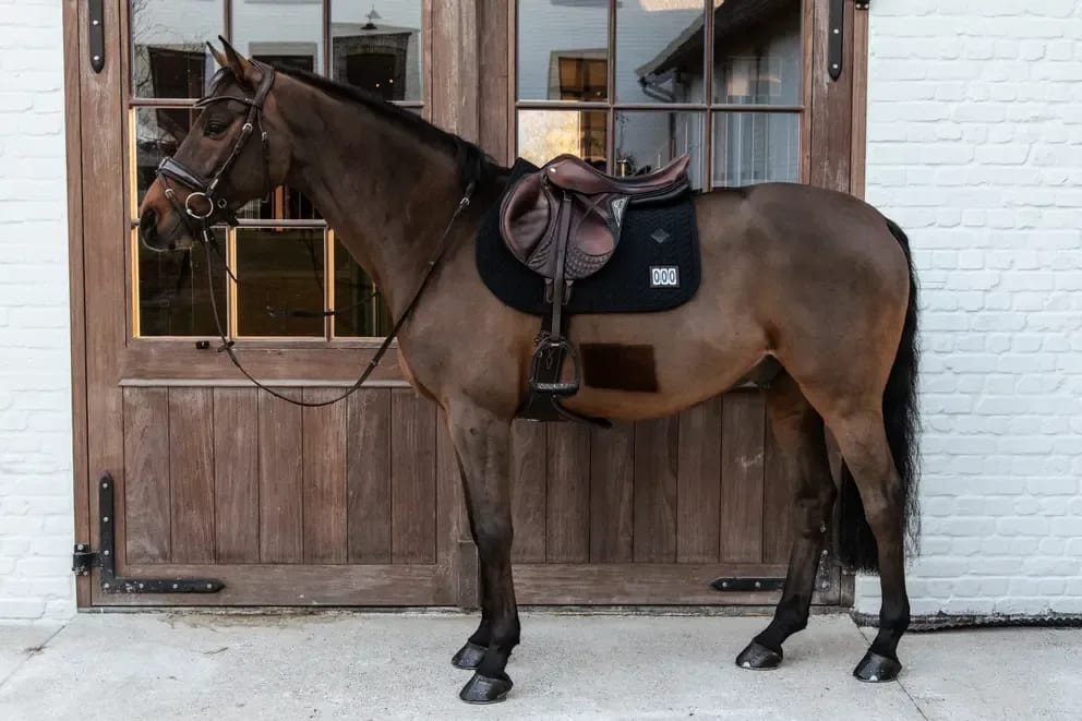 Kentucky Saddle Pad Fishbone Competiton Jumping