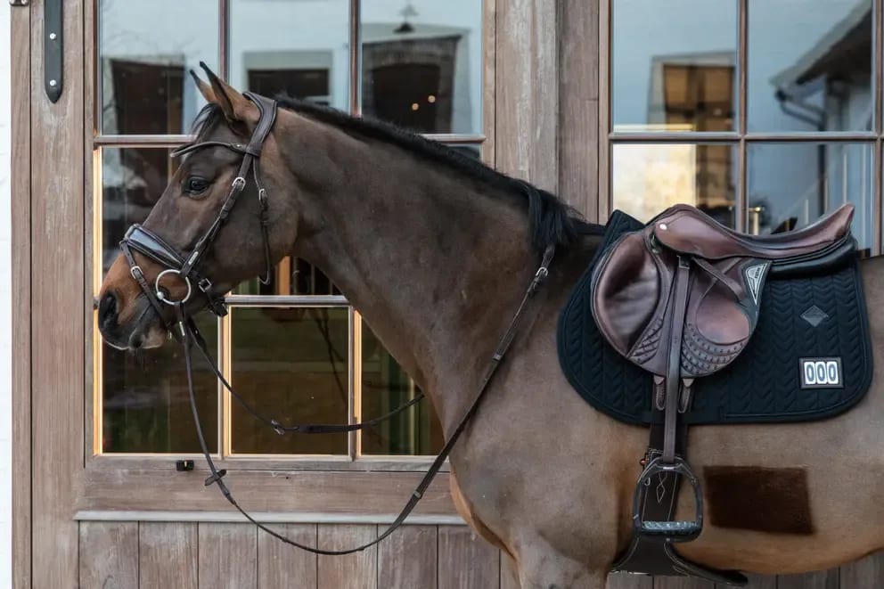 Kentucky Saddle Pad Fishbone Competiton Jumping