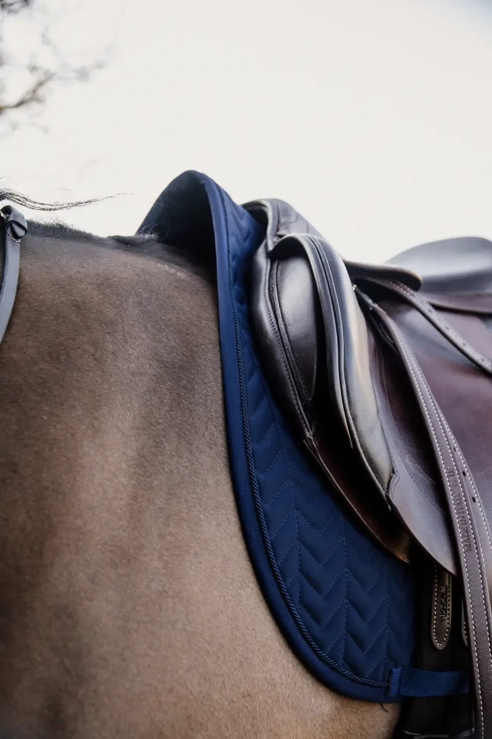 Kentucky Saddle Pad Fishbone Competiton Jumping - Løwenborg - Kentucky Horsewear