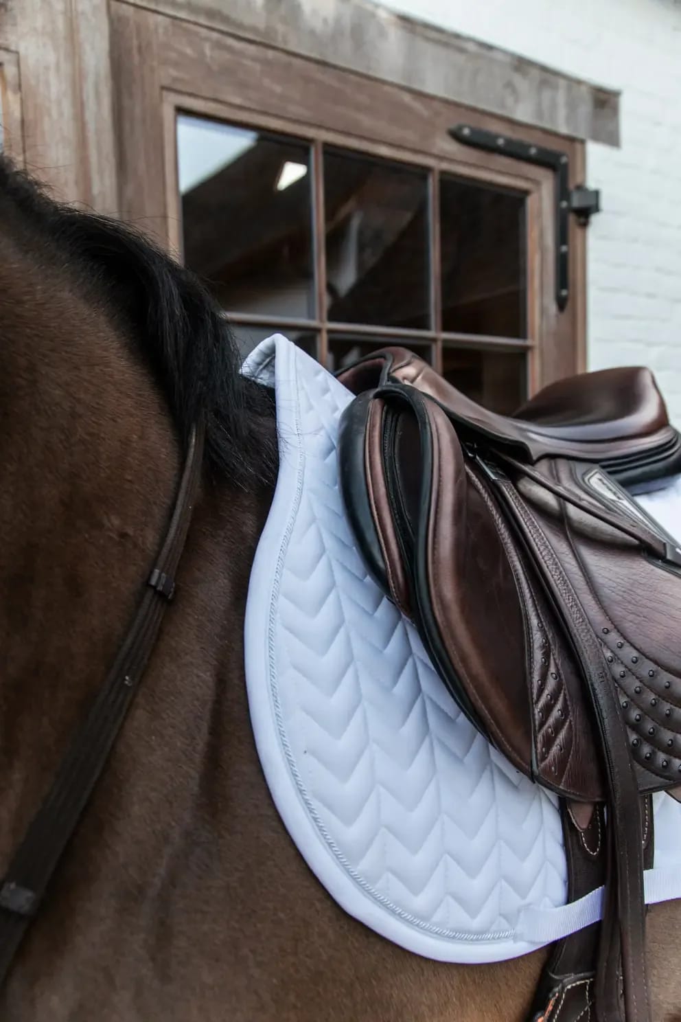 Kentucky Saddle Pad Fishbone Competiton Jumping - Løwenborg - Kentucky Horsewear