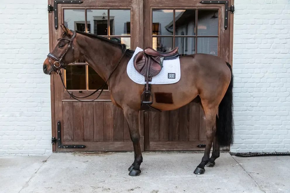 Kentucky Saddle Pad Fishbone Competiton Jumping - Løwenborg - Kentucky Horsewear