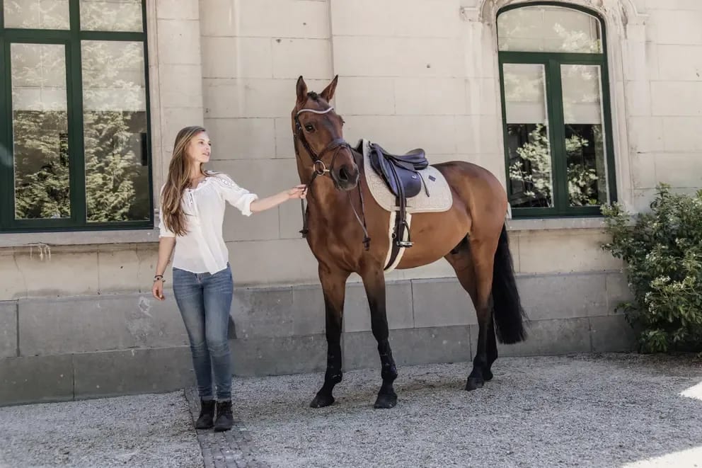 Kentucky Saddle Pad Pied de Poule Jumping - Løwenborg - Kentucky Horsewear