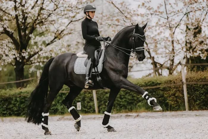 Kentucky Saddle Pad Pied de Poule Dressage - Løwenborg - Kentucky Horsewear