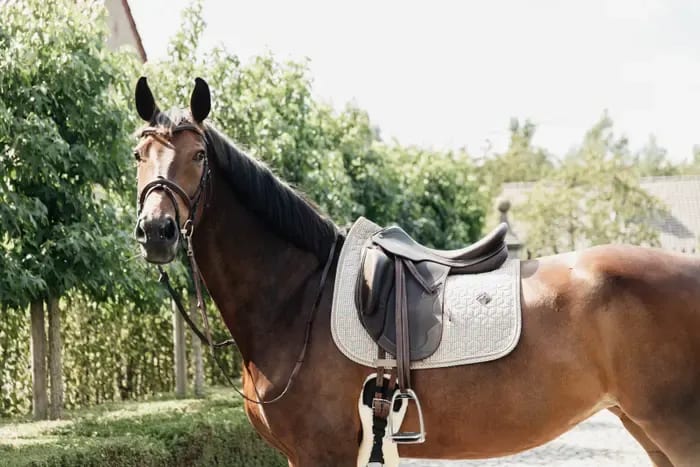 Kentucky Saddle Pad Pied de Poule Dressage - Løwenborg - Kentucky Horsewear