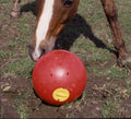 Spare Lid for Snak a Ball - Løwenborg - Likit/Studmuffin